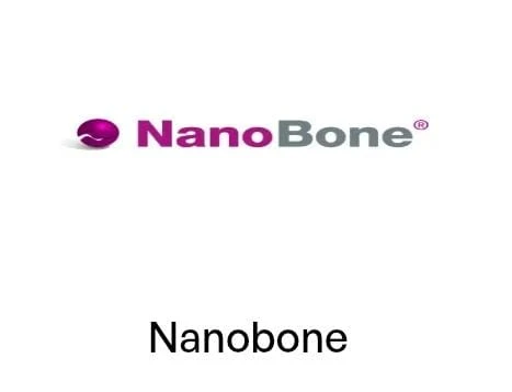 Nanobone